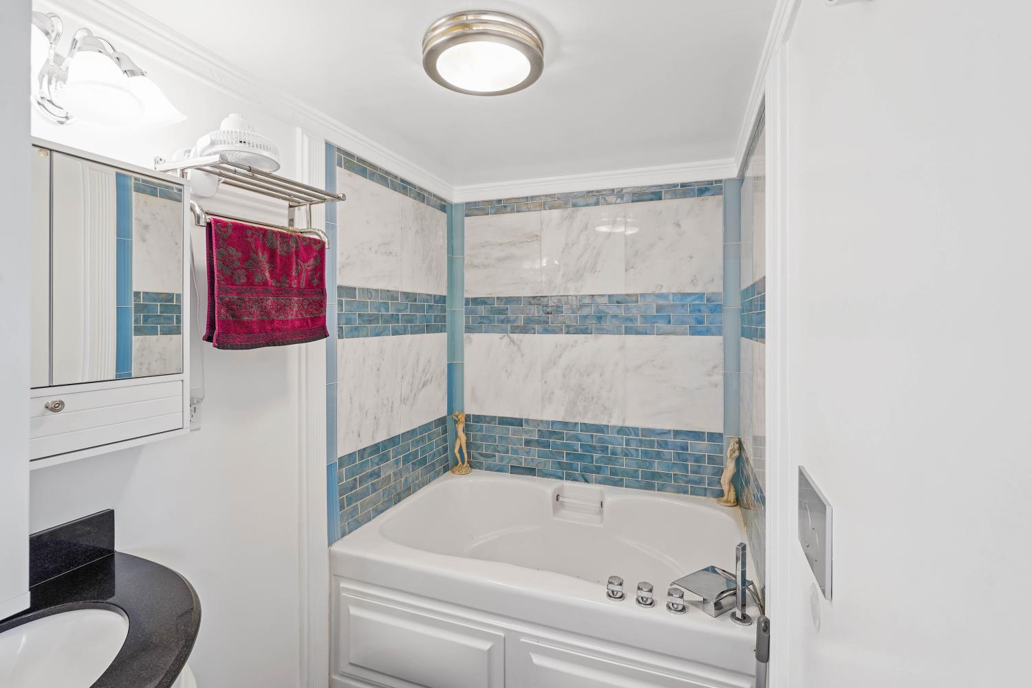 3110 Nantucket Terrace Davis CA 95618