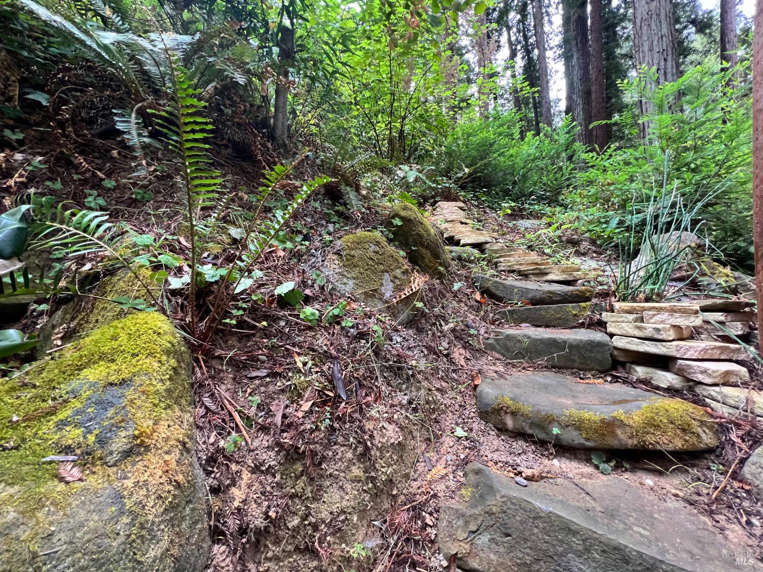 14592 Canyon 1 Road Guerneville CA 95446