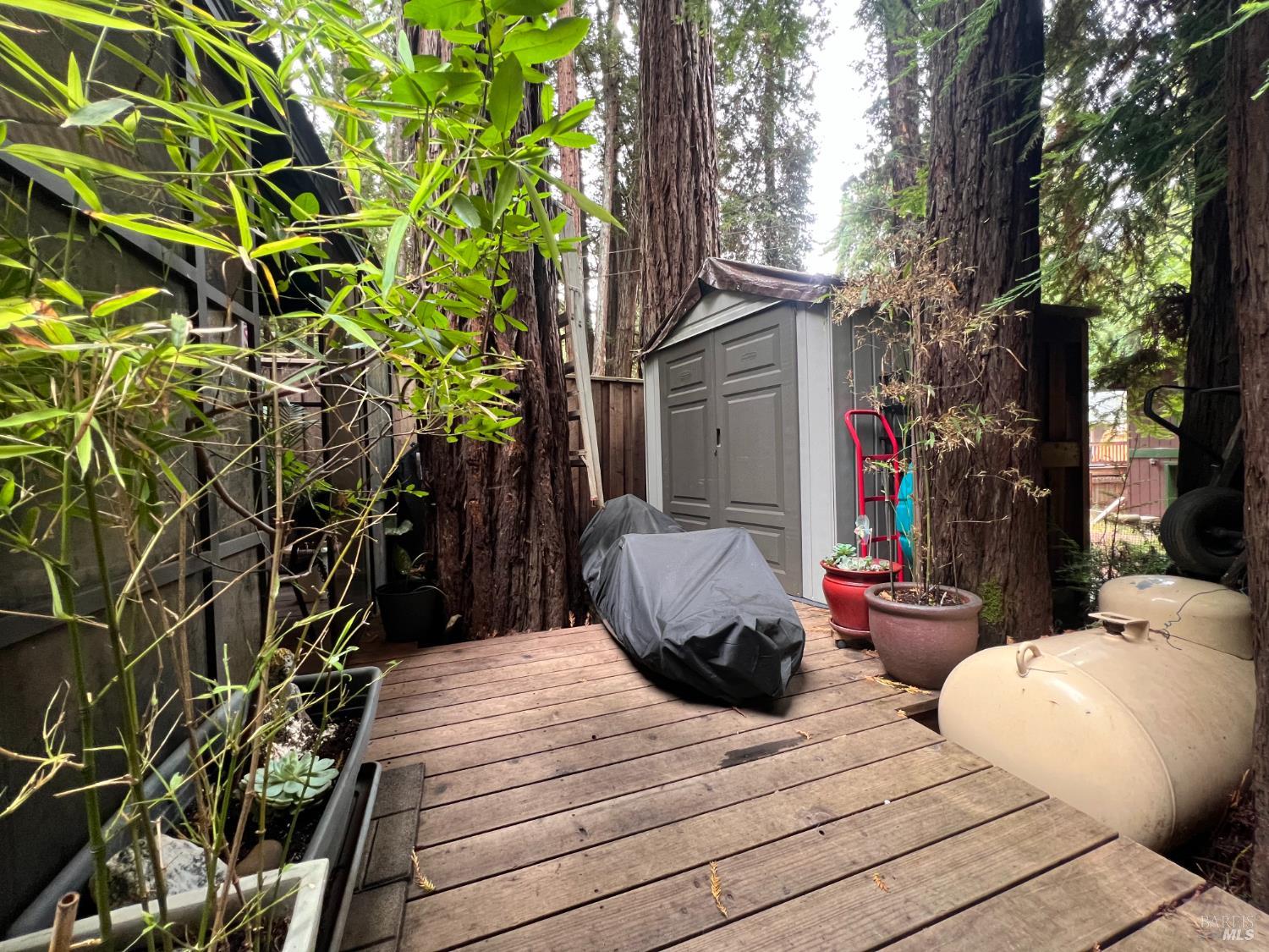 14592 Canyon 1 Road Guerneville CA 95446