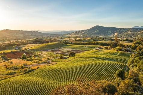 5561 Sonoma Mountain Road Santa Rosa CA 95404