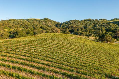 5561 Sonoma Mountain Road Santa Rosa CA 95404