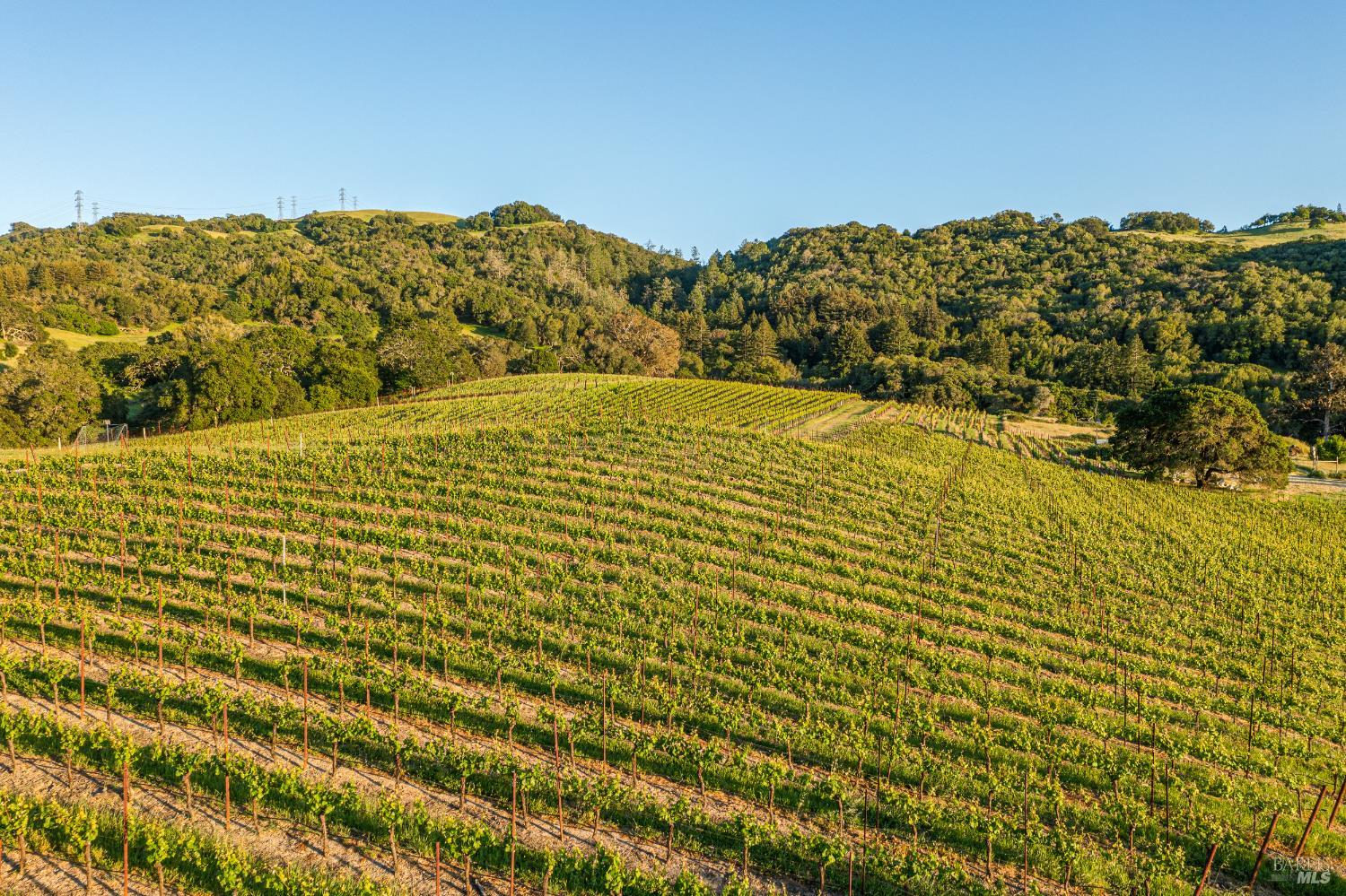 5561 Sonoma Mountain Road Santa Rosa CA 95404