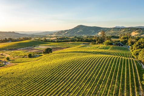 5561 Sonoma Mountain Road Santa Rosa CA 95404