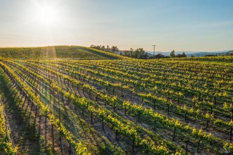 5561 Sonoma Mountain Road Santa Rosa CA 95404