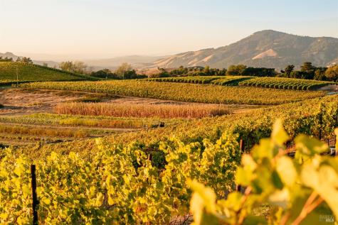 5561 Sonoma Mountain Road Santa Rosa CA 95404