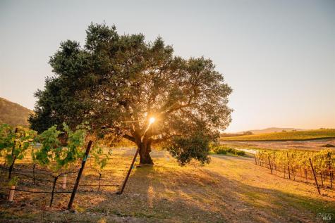 5561 Sonoma Mountain Road Santa Rosa CA 95404
