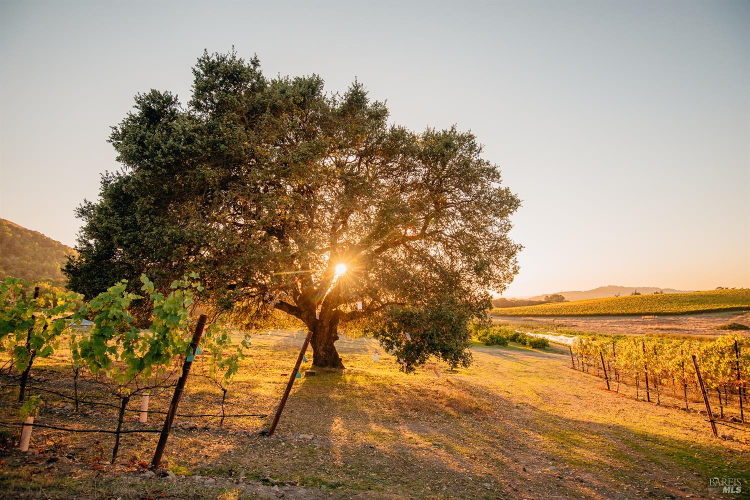 5561 Sonoma Mountain Road Santa Rosa CA 95404