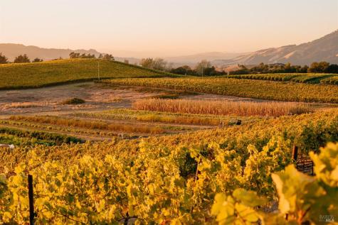 5561 Sonoma Mountain Road Santa Rosa CA 95404