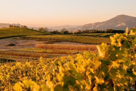 5561 Sonoma Mountain Road Santa Rosa CA 95404