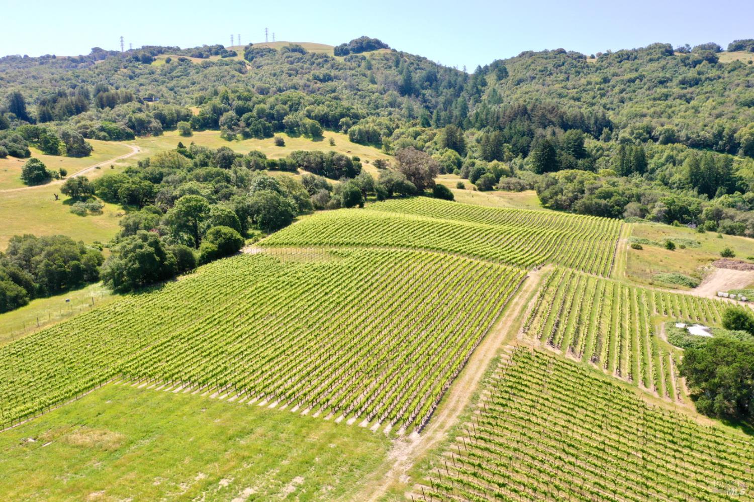 5561 Sonoma Mountain Road Santa Rosa CA 95404