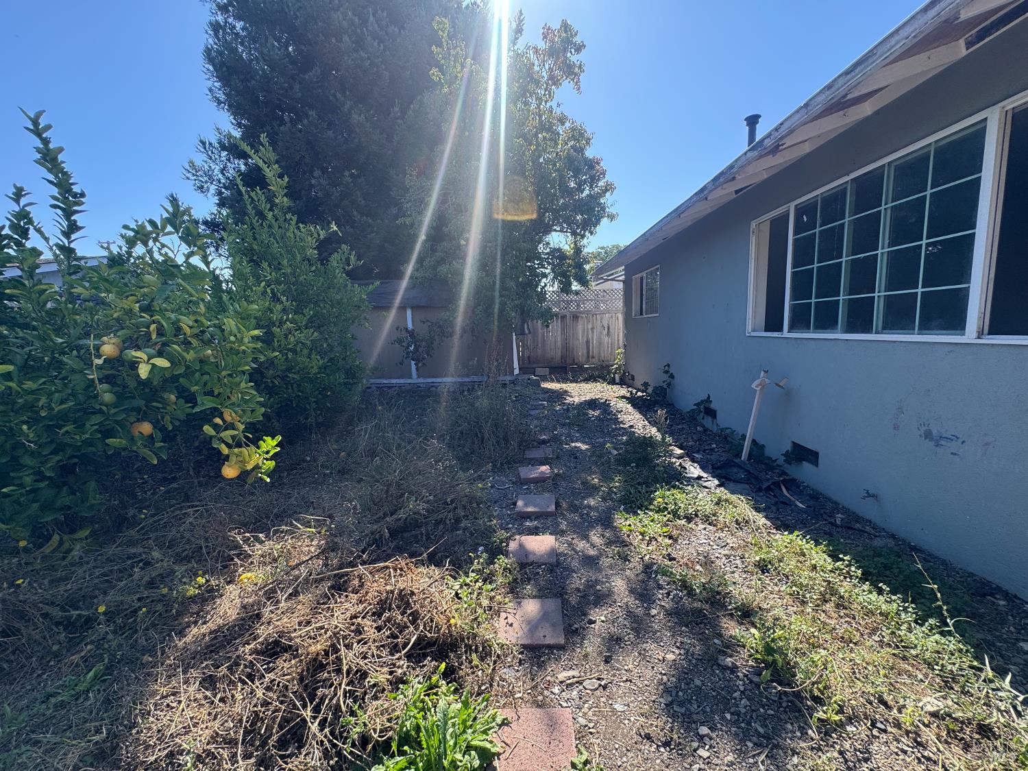 7534 Adrian Drive Rohnert Park CA 94928