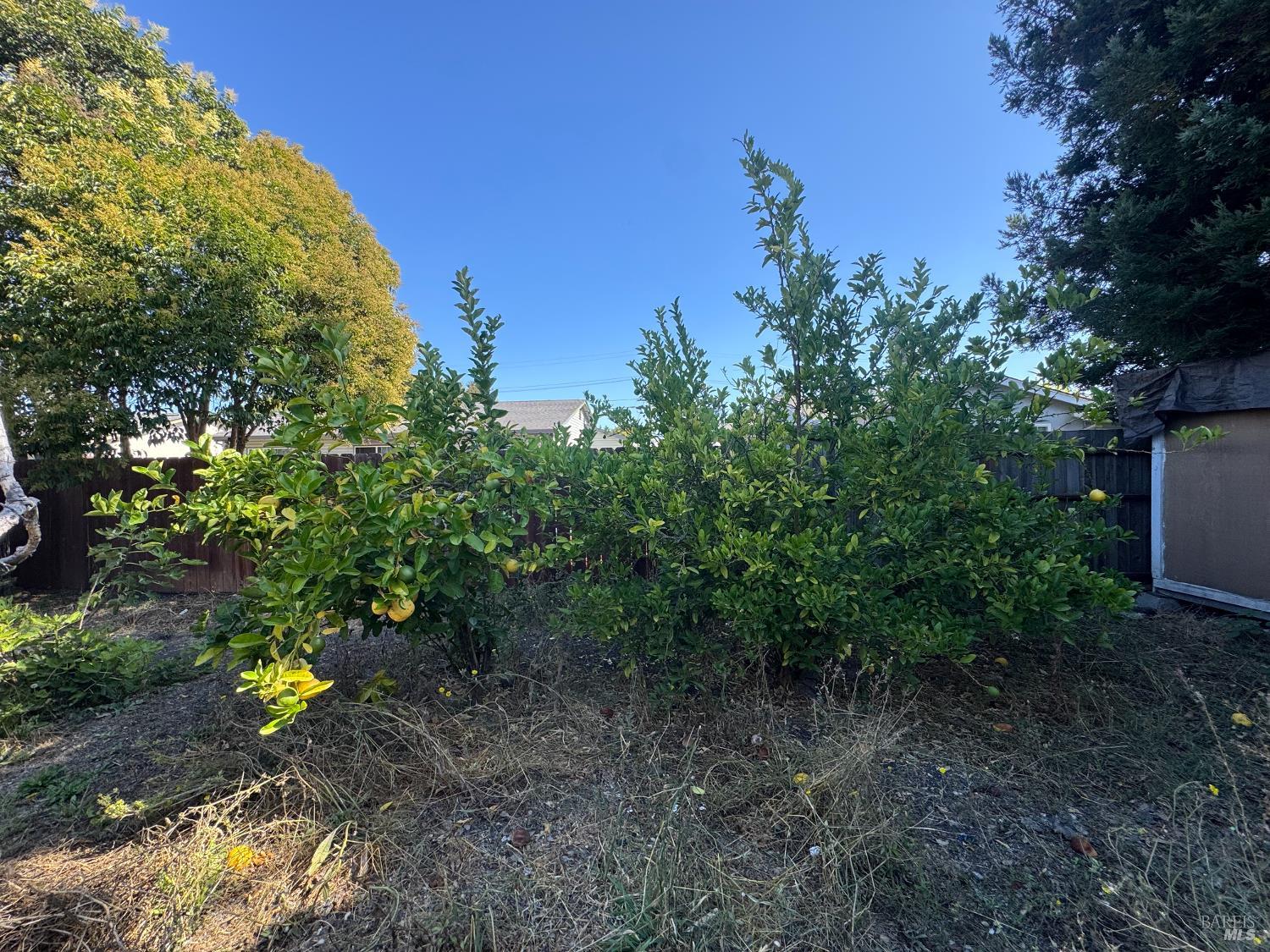 7534 Adrian Drive Rohnert Park CA 94928