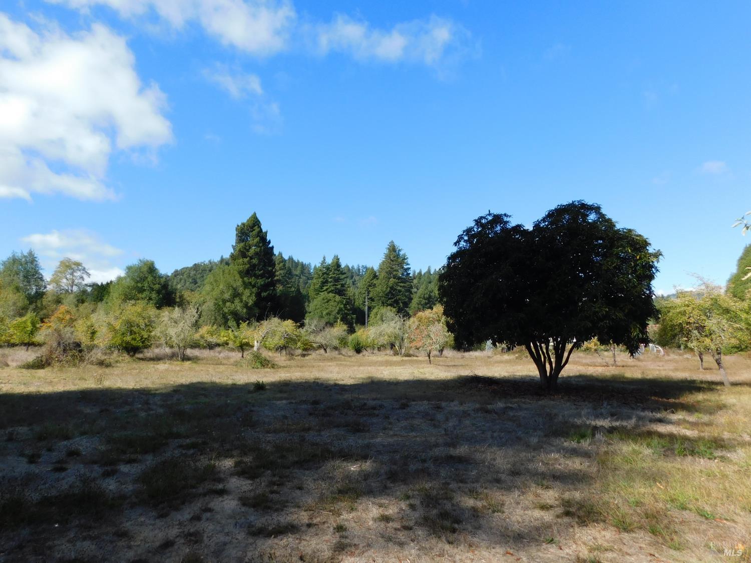 16050 Laughlin Road Guerneville CA 95446