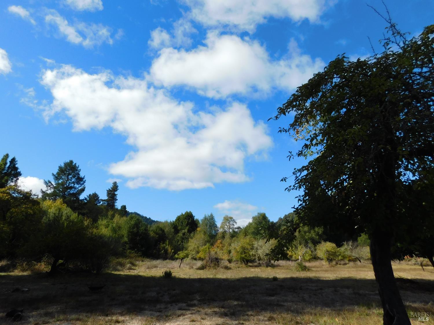 16050 Laughlin Road Guerneville CA 95446