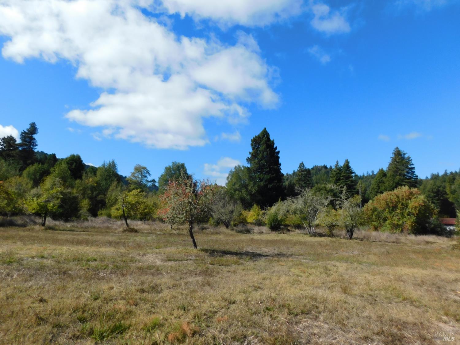 16050 Laughlin Road Guerneville CA 95446