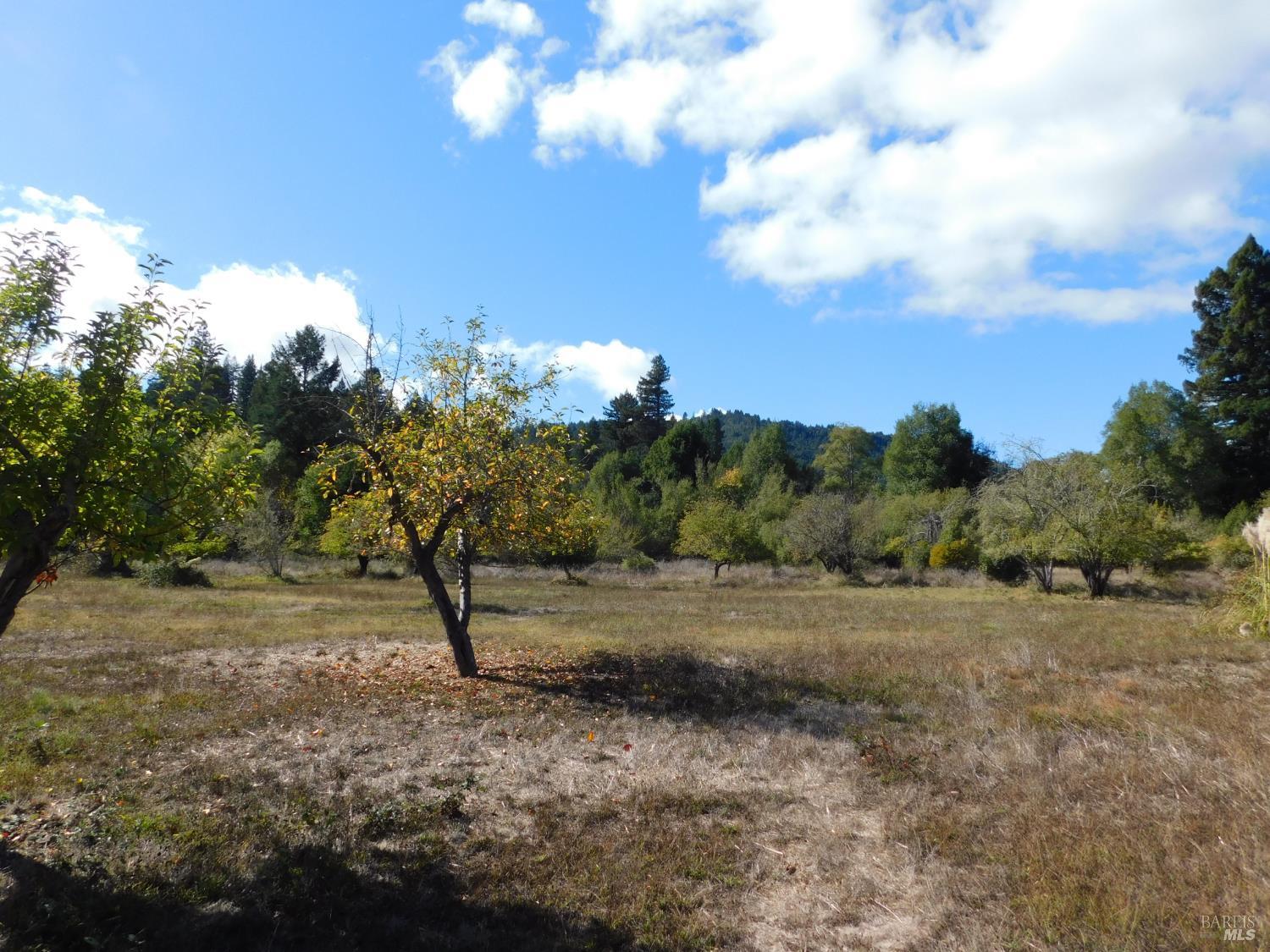 16050 Laughlin Road Guerneville CA 95446