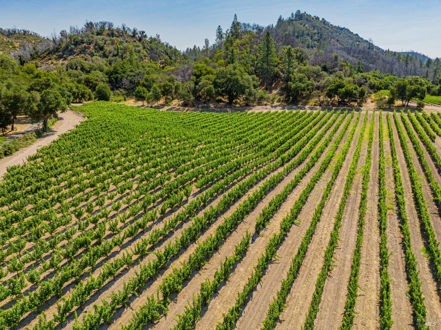 8320 Franz Valley Road Calistoga CA 94515