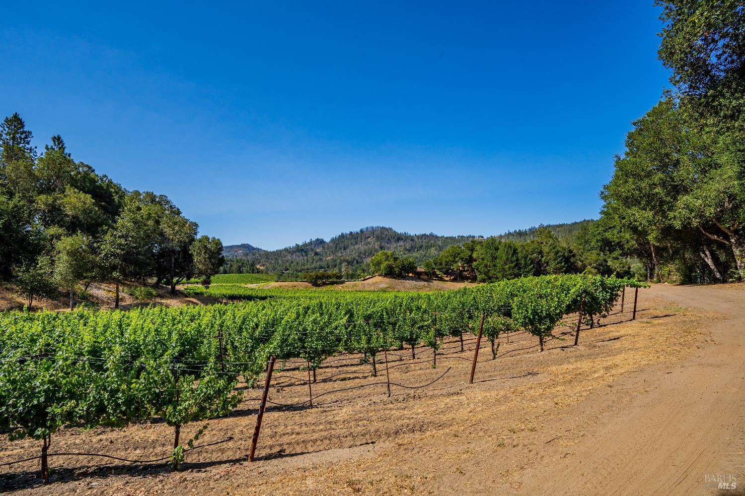8320 Franz Valley Road Calistoga CA 94515