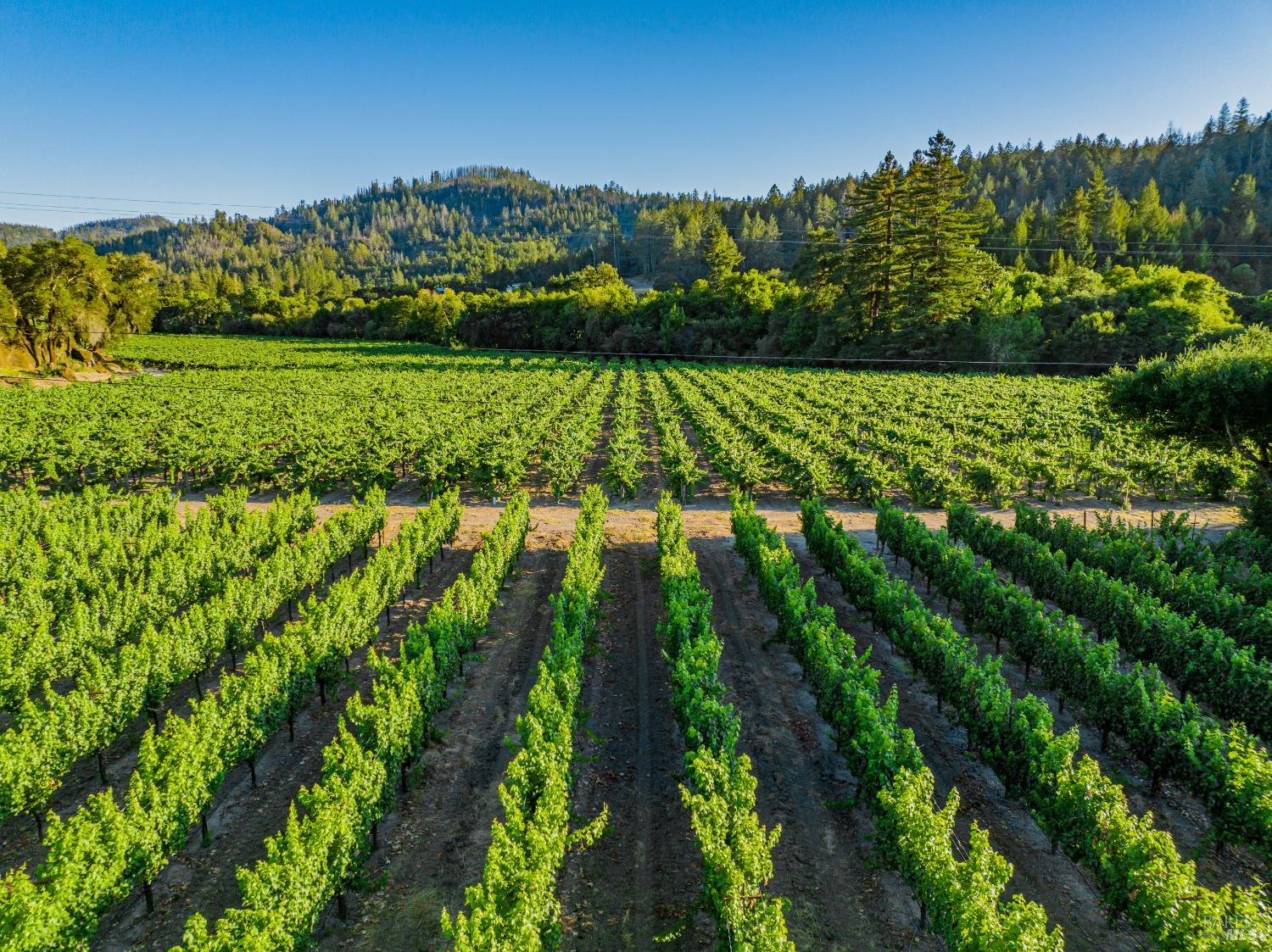 8320 Franz Valley Road Calistoga CA 94515
