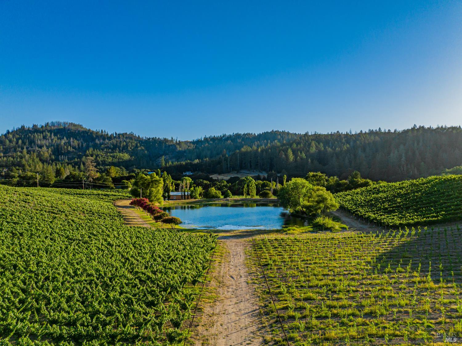 8320 Franz Valley Road Calistoga CA 94515