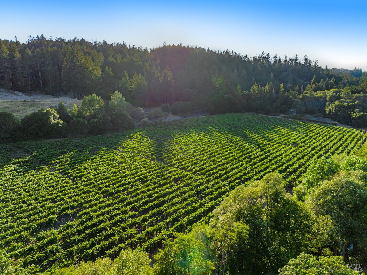 8320 Franz Valley Road Calistoga CA 94515
