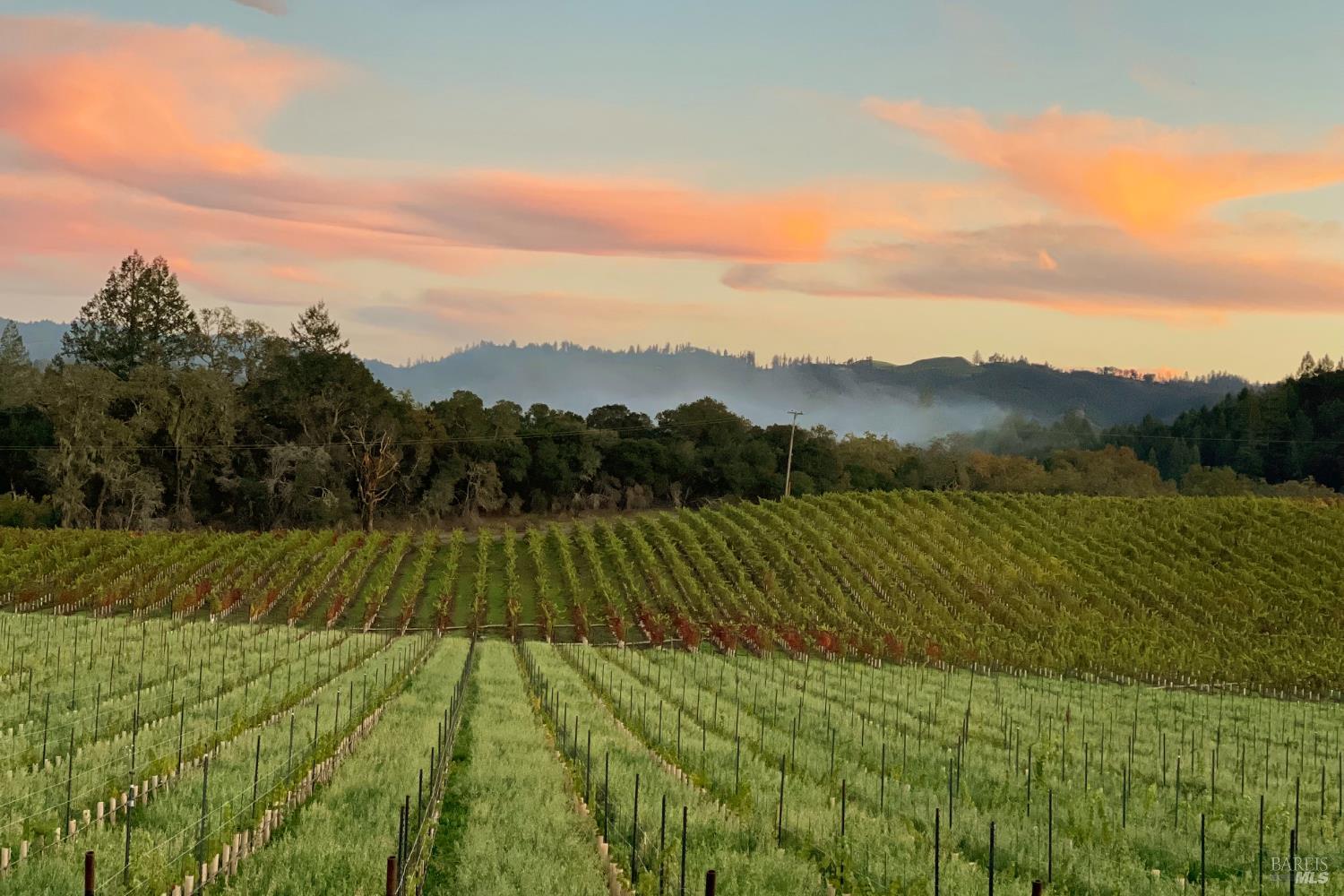 8320 Franz Valley Road Calistoga CA 94515