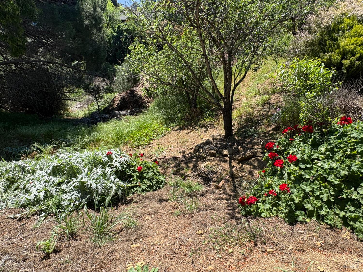 128 W Seaview Drive Benicia CA 94510