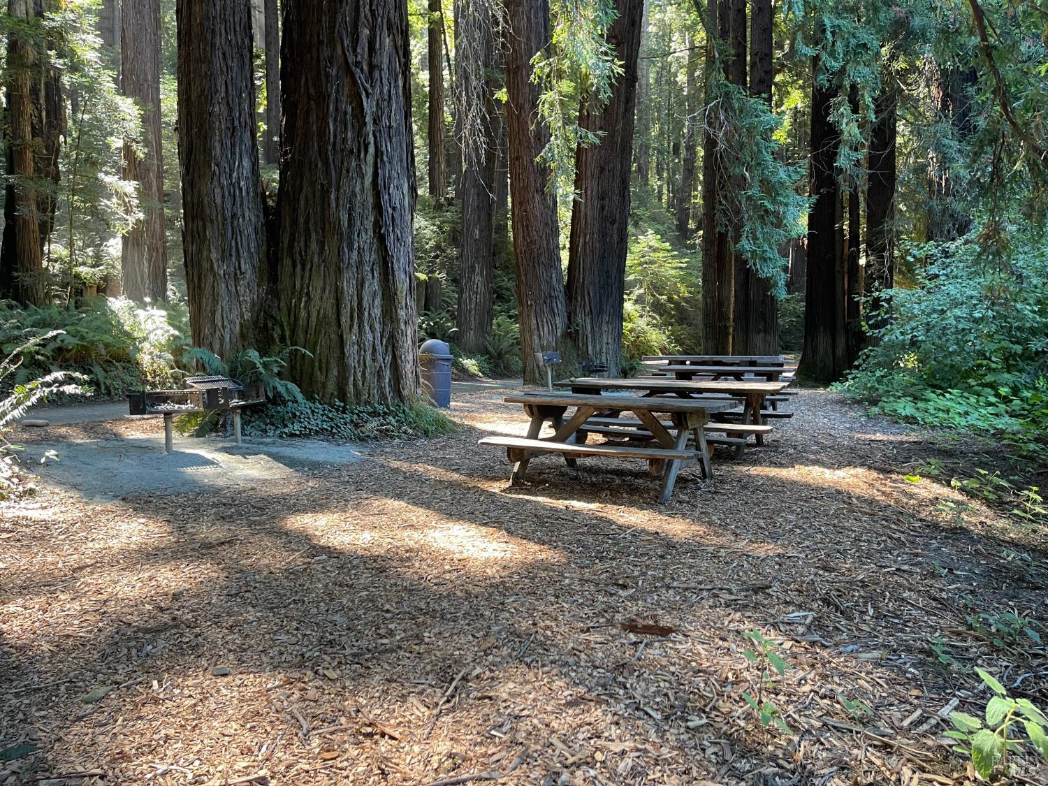 1101 River Beach Road The Sea Ranch CA 95497