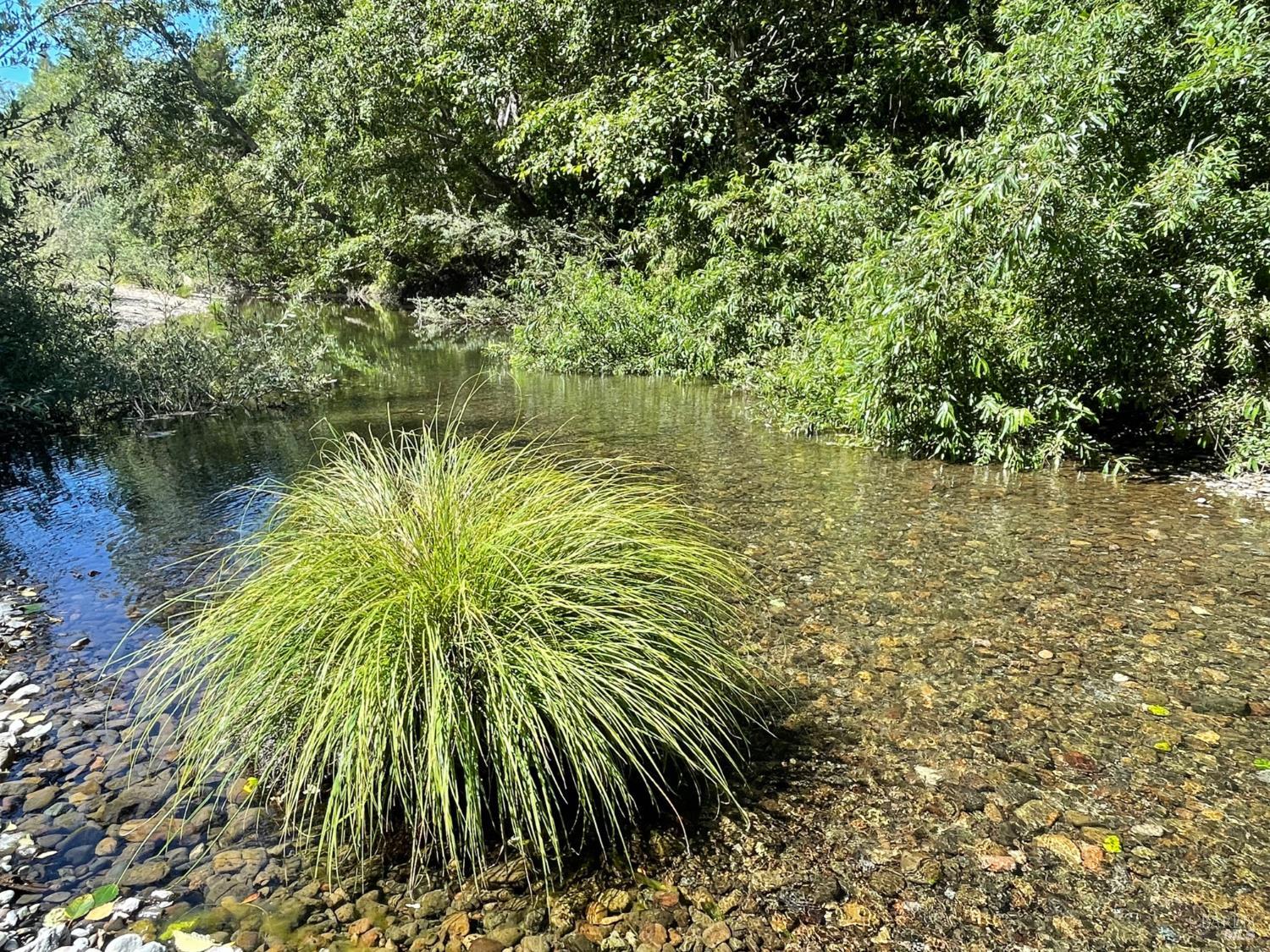 1101 River Beach Road The Sea Ranch CA 95497
