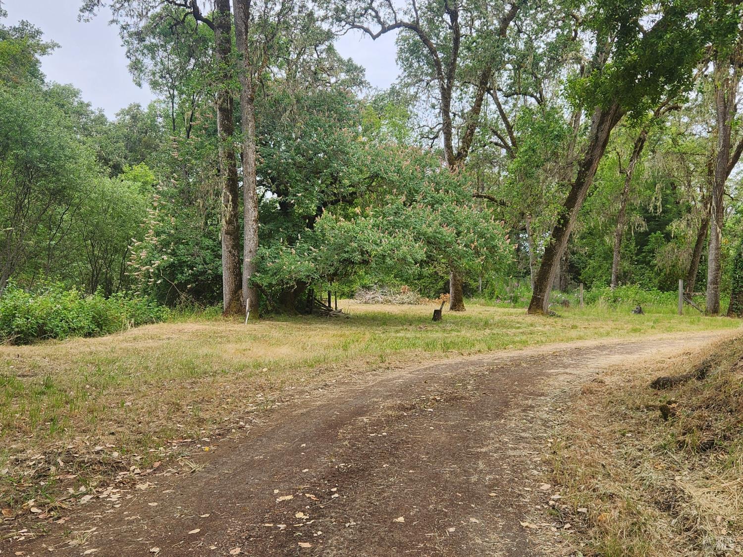 3970 Canyon Road Willits CA 95490