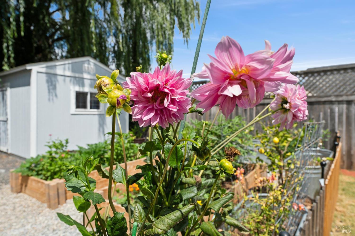 7187 Circle Drive Rohnert Park CA 94928