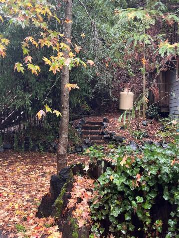 14465 Old Cazadero Road Guerneville CA 95446