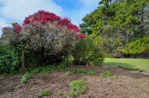 477 Los Santos Drive Bodega Bay CA 94923