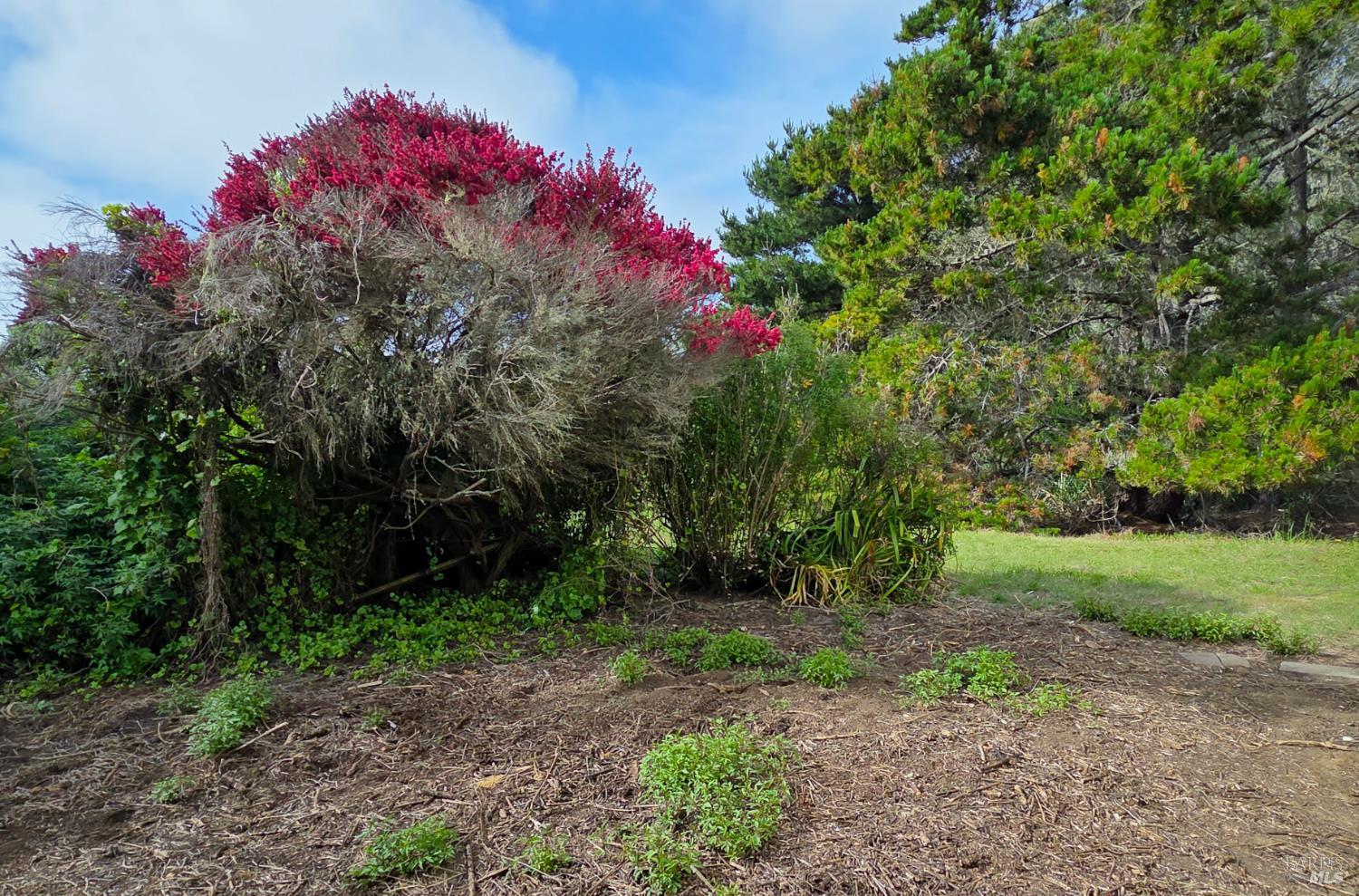 477 Los Santos Drive Bodega Bay CA 94923