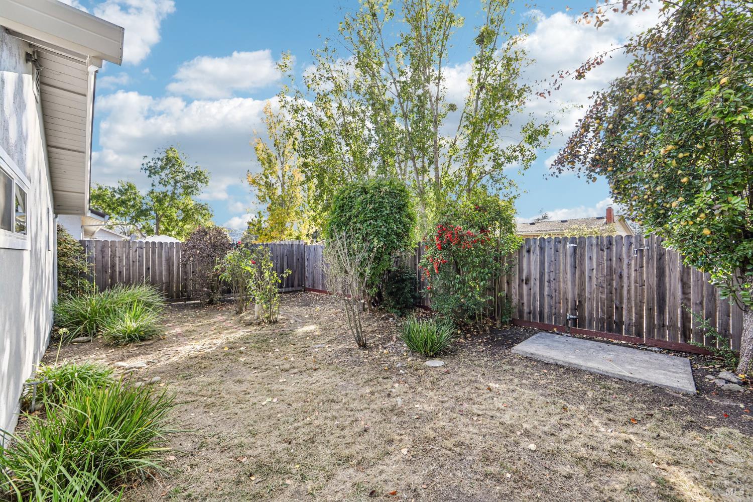 1237 Kodiak Court Santa Rosa CA 95405