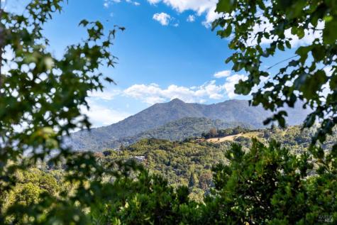 95 Irving Drive San Anselmo CA 94960