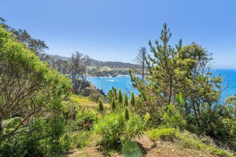 23430 Highway 1 Jenner CA 95450