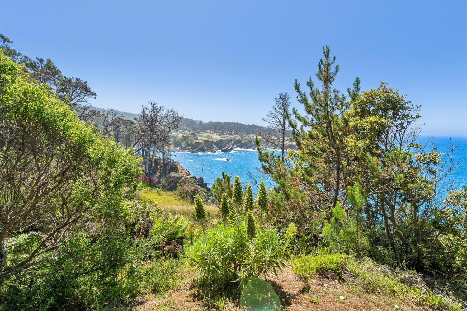 23430 Highway 1 Jenner CA 95450