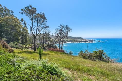 23430 Highway 1 Jenner CA 95450