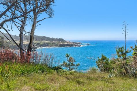 23430 Highway 1 Jenner CA 95450