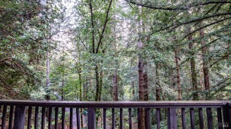 7456 Sir Francis Drake Boulevard Lagunitas CA 94938