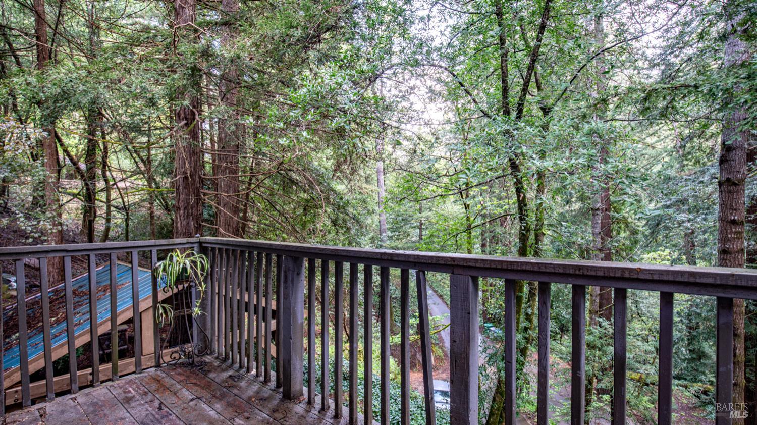 7456 Sir Francis Drake Boulevard Lagunitas CA 94938