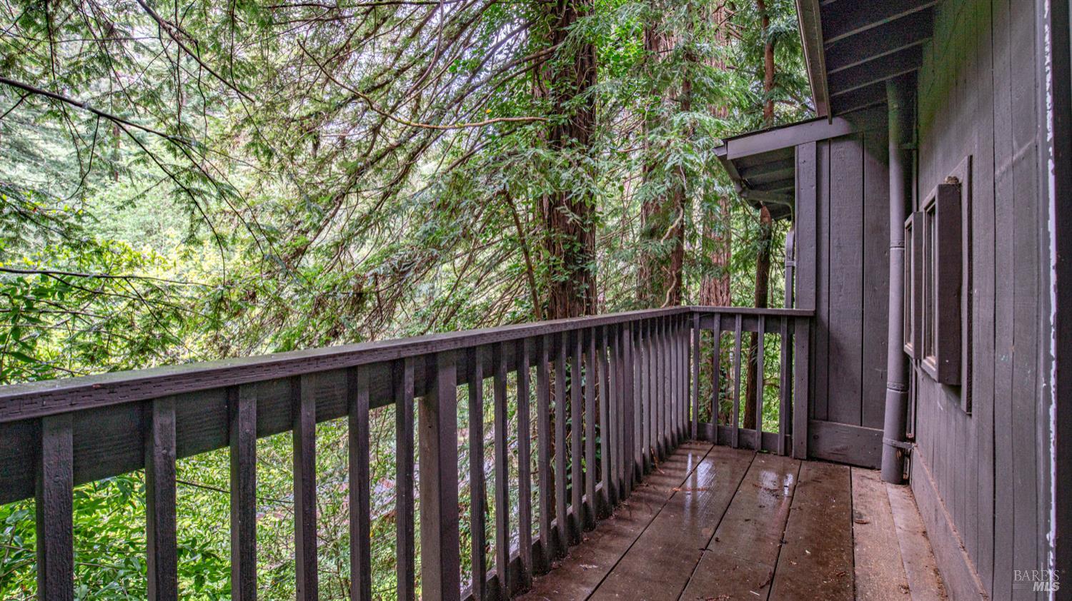 7456 Sir Francis Drake Boulevard Lagunitas CA 94938