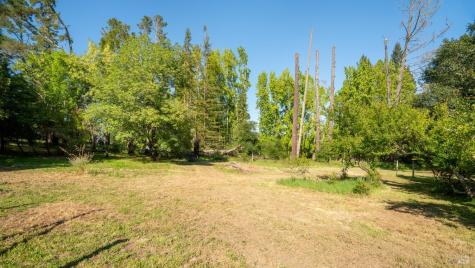 9901 Occidental Road Sebastopol CA 95472