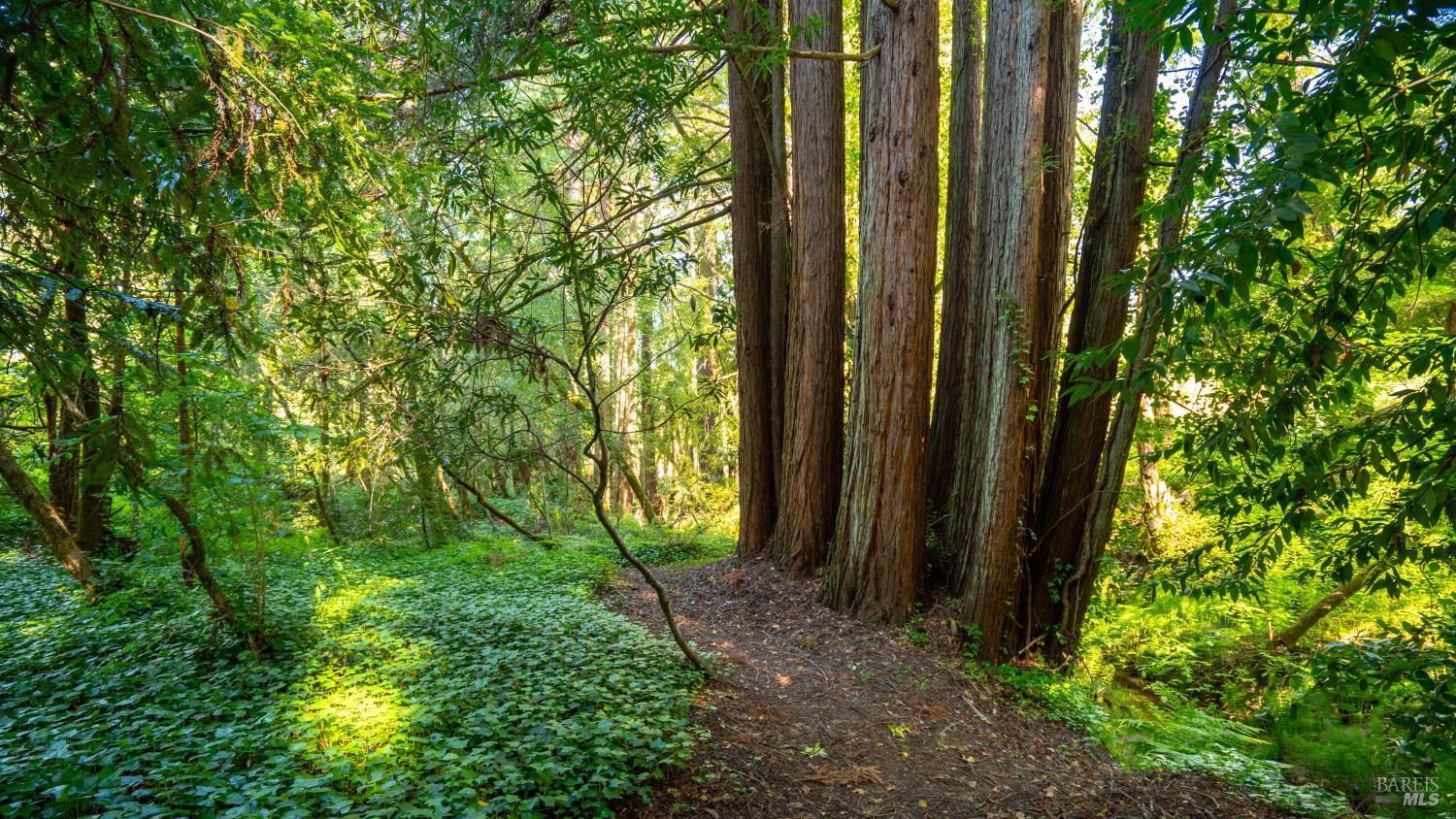 9901 Occidental Road Sebastopol CA 95472