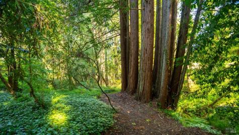 9901 Occidental Road Sebastopol CA 95472
