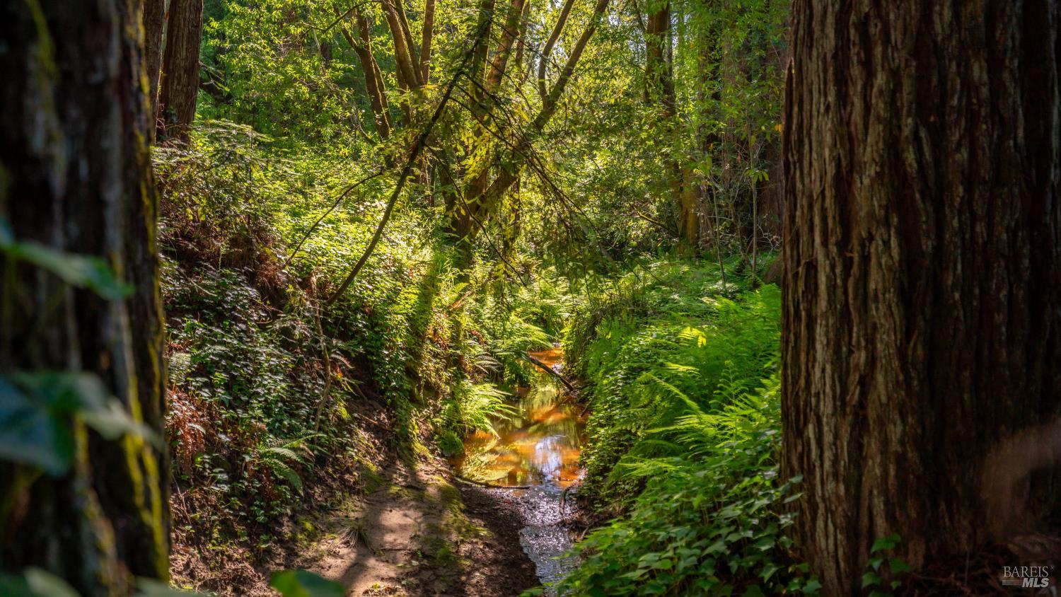 9901 Occidental Road Sebastopol CA 95472