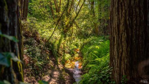 9901 Occidental Road Sebastopol CA 95472