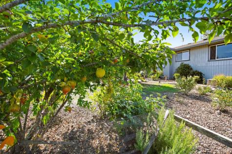4436 Grange Road Santa Rosa CA 95404
