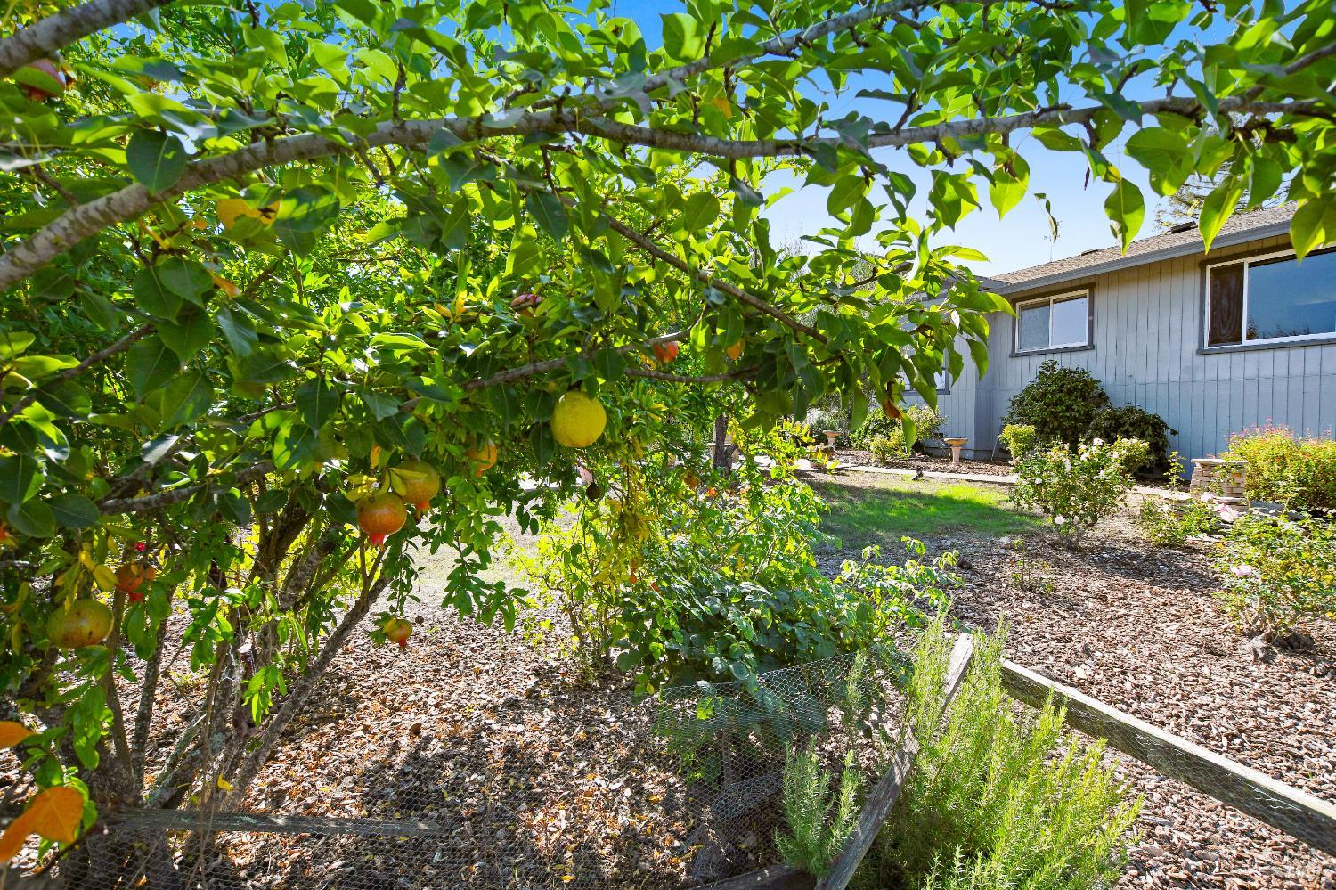 4436 Grange Road Santa Rosa CA 95404